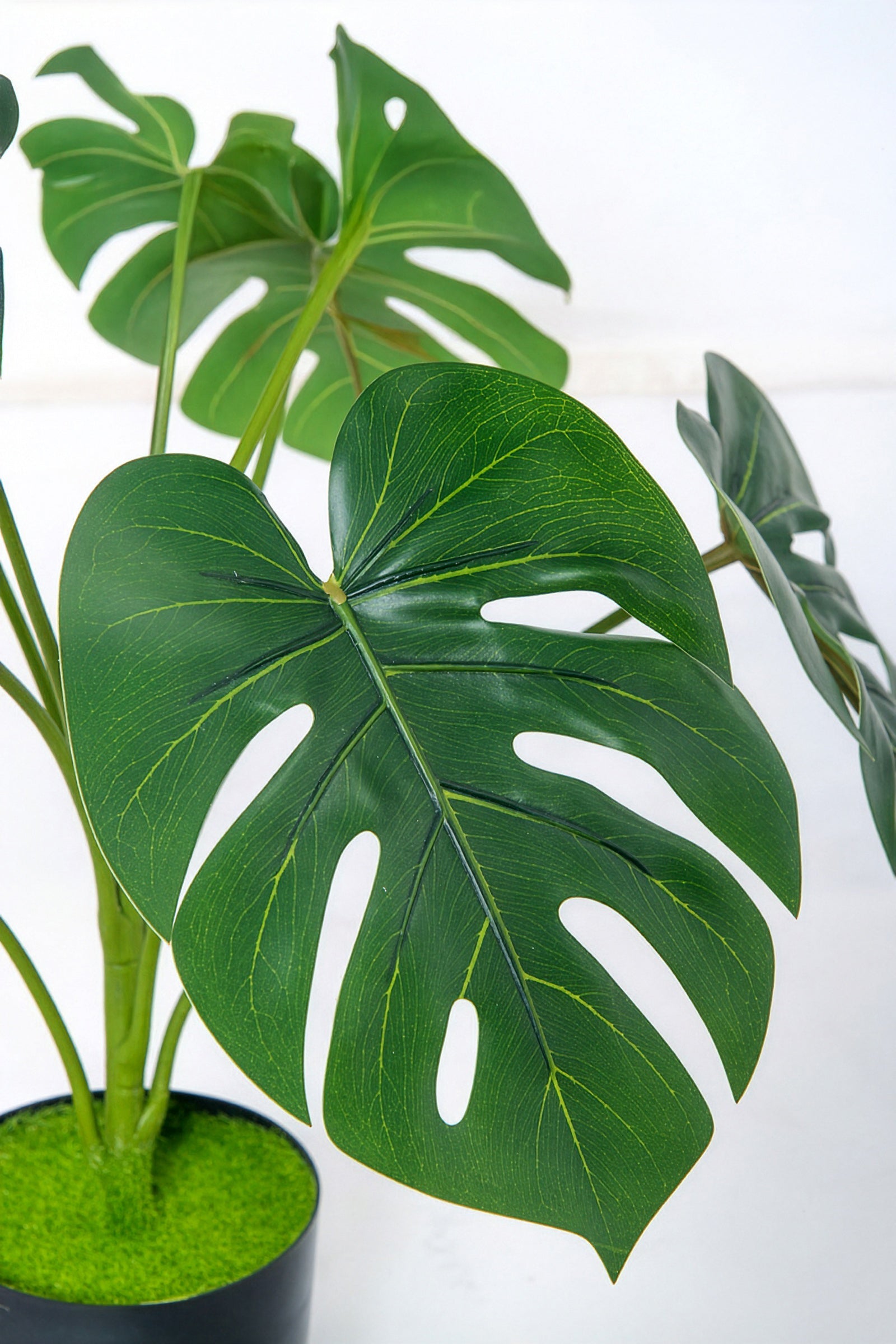 Monstera S: Desktop Artificial Monstera Plant with Lifelike Leaves