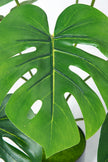 Monstera S: Desktop Artificial Monstera Plant with Lifelike Leaves