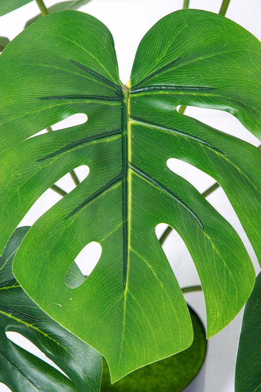 Monstera S: Desktop Artificial Monstera Plant with Lifelike Leaves