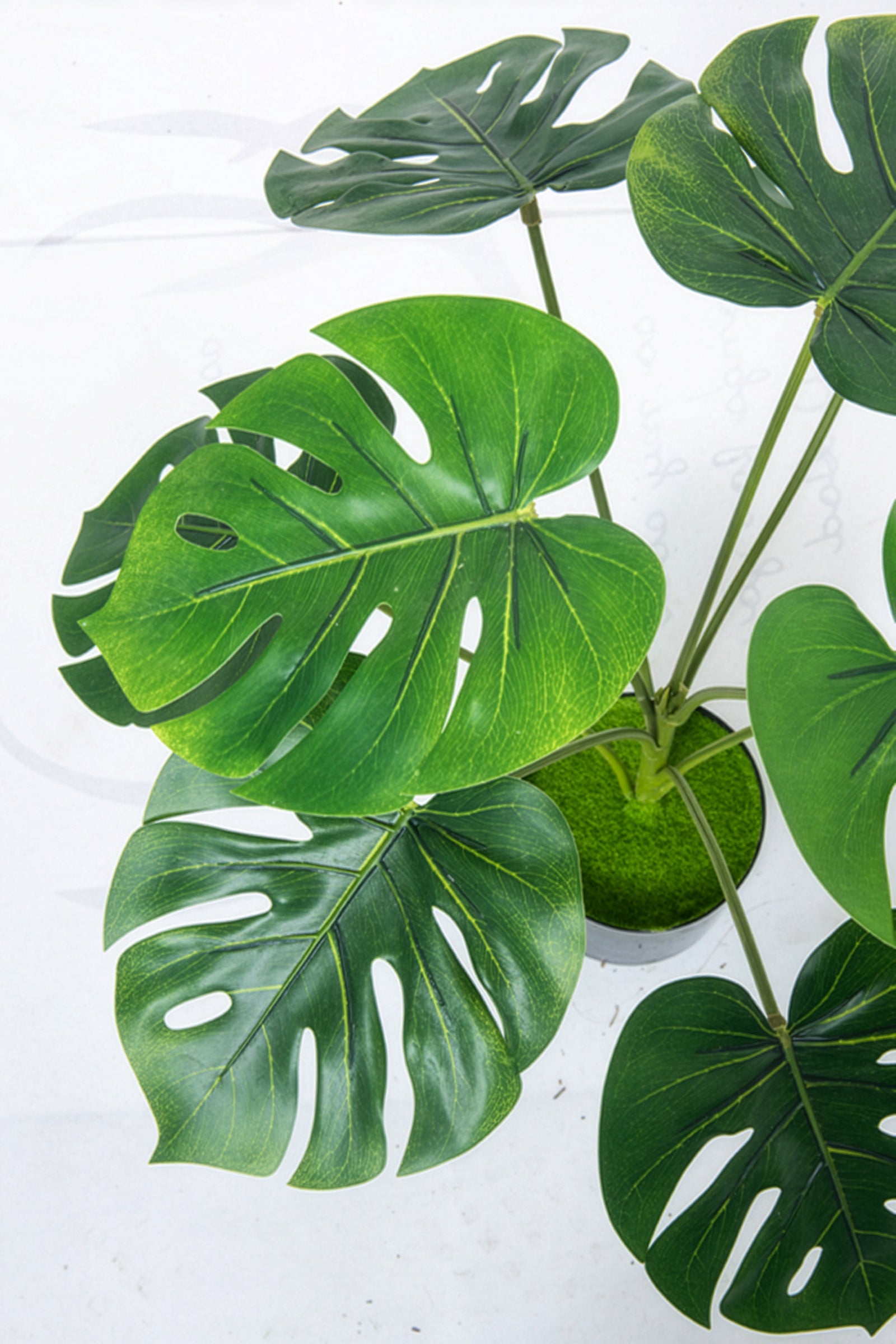 Monstera S: Desktop Artificial Monstera Plant with Lifelike Leaves