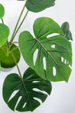 Monstera S: Desktop Artificial Monstera Plant with Lifelike Leaves