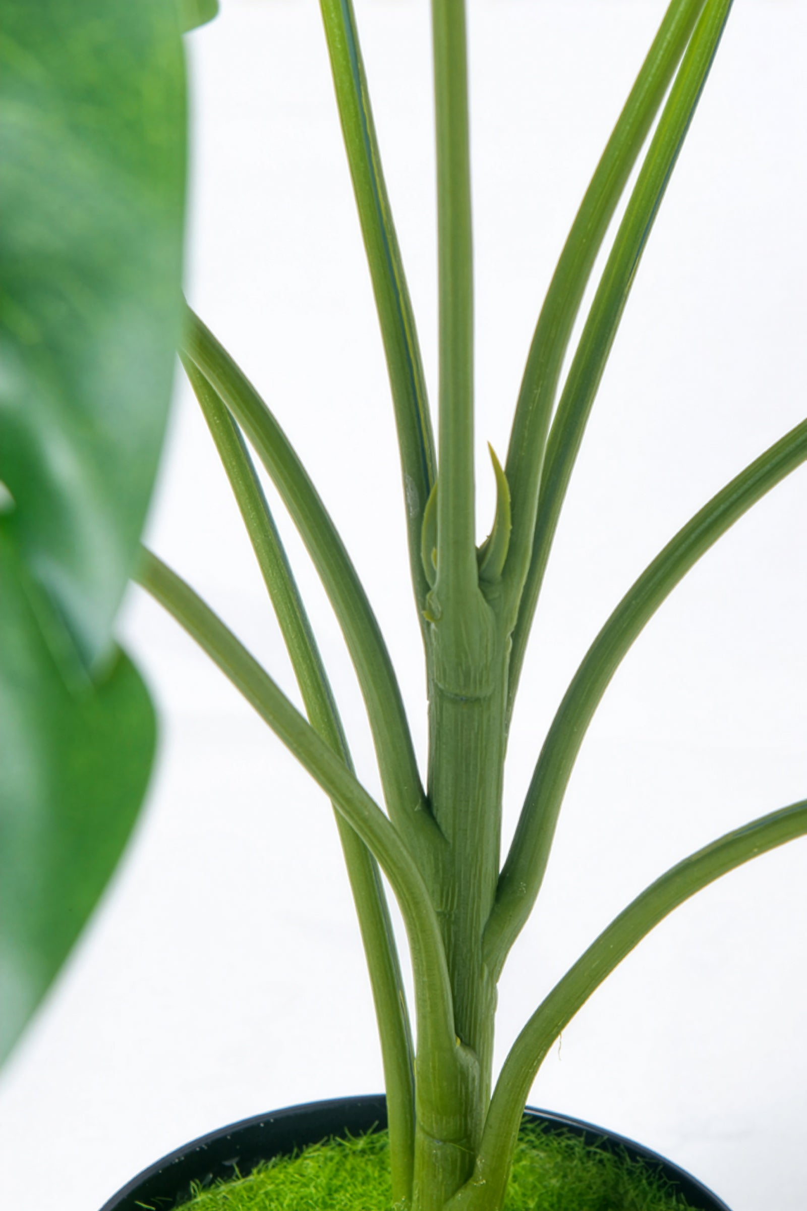 Monstera S: Desktop Artificial Monstera Plant with Lifelike Leaves