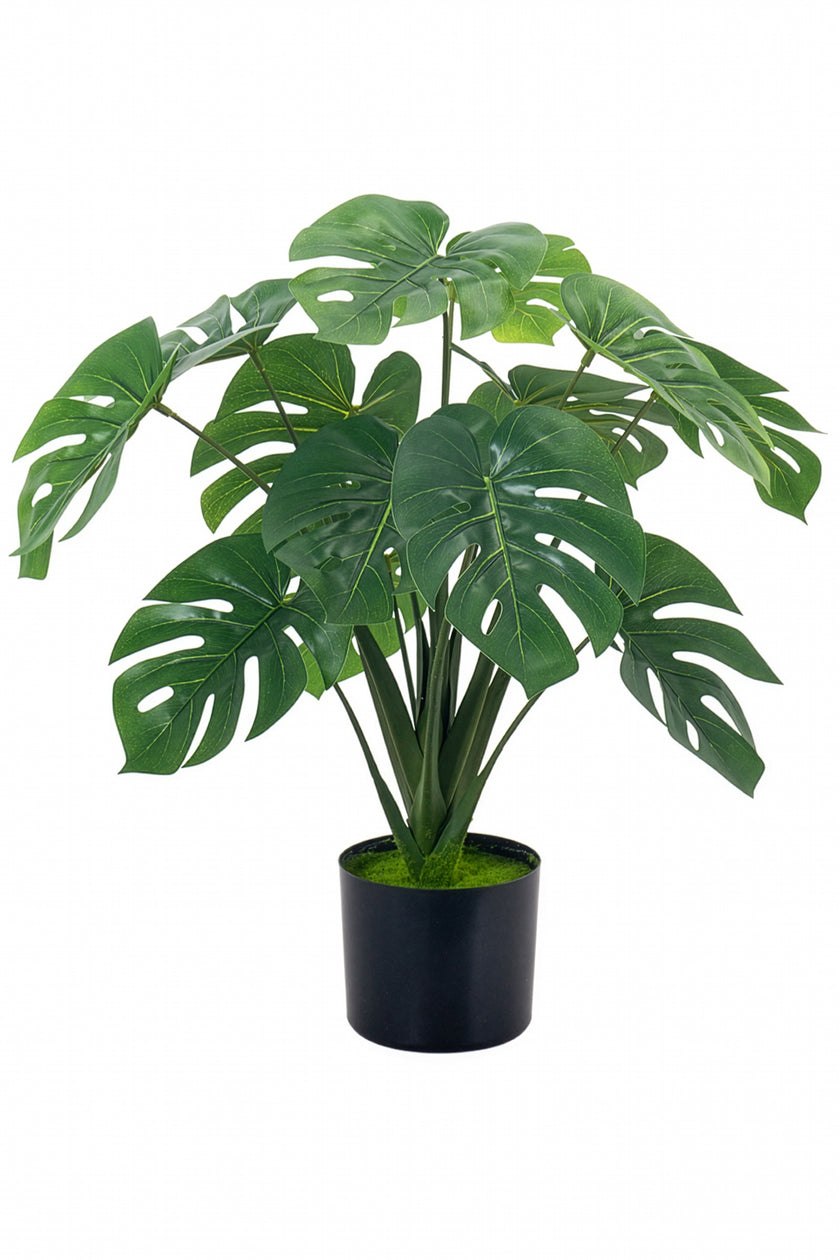 Monstera S: Desktop Artificial Monstera Plant with Lifelike Leaves
