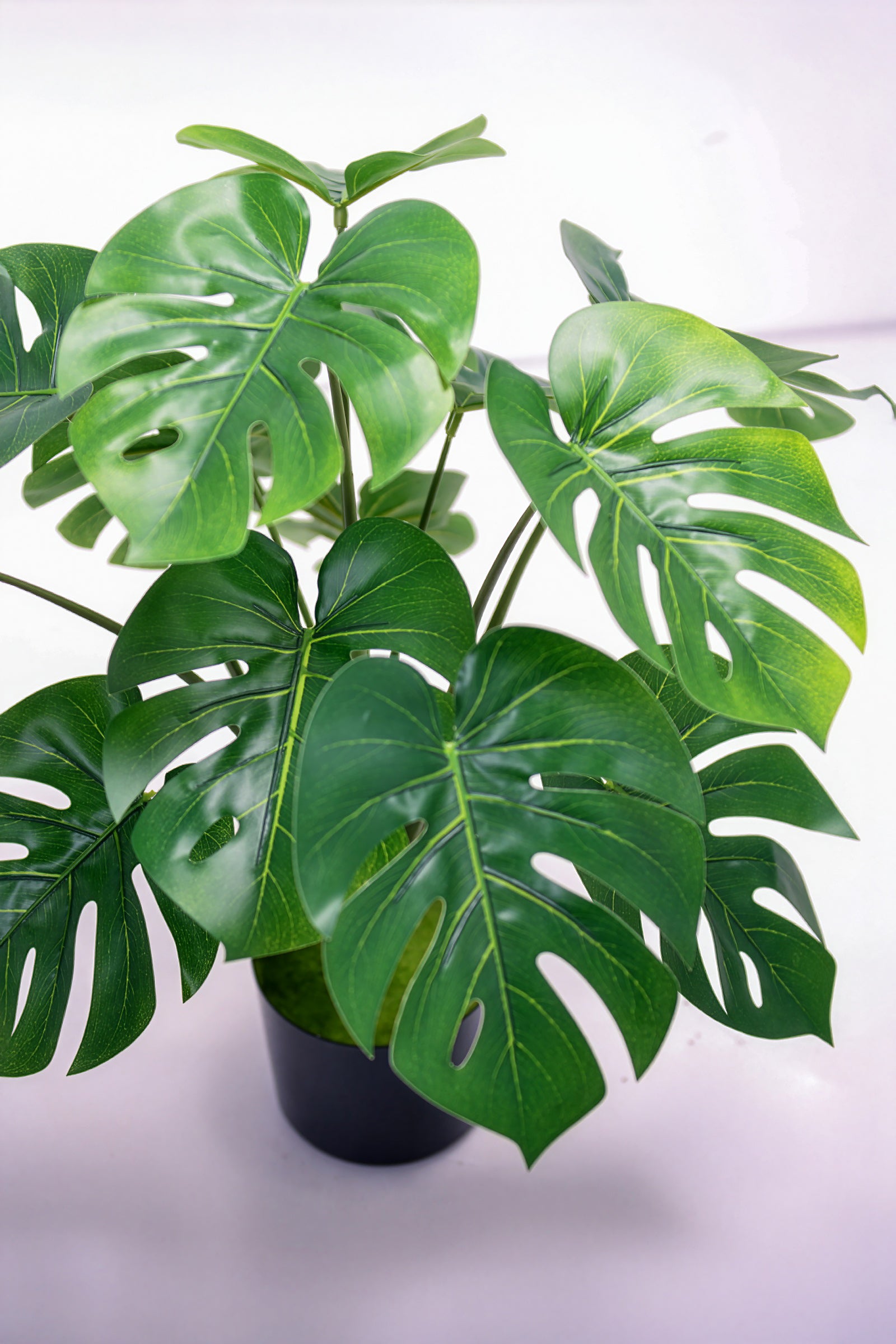 Monstera S: Desktop Artificial Monstera Plant with Lifelike Leaves