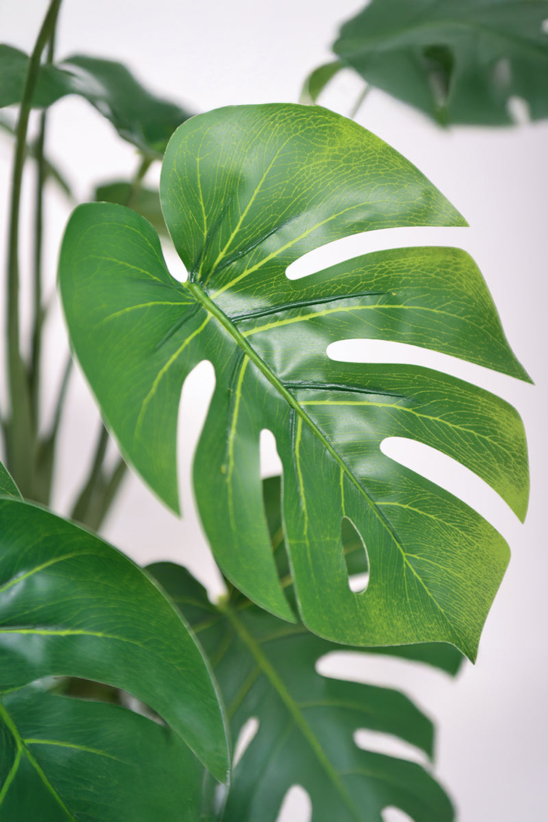 Monstera S: Desktop Artificial Monstera Plant with Lifelike Leaves
