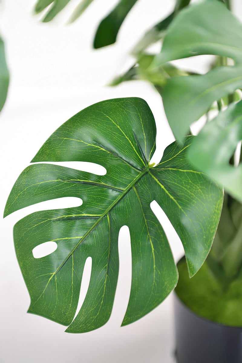 Monstera S: Desktop Artificial Monstera Plant with Lifelike Leaves