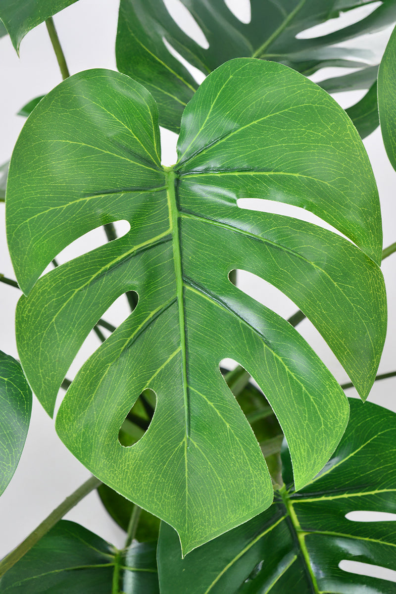 Monstera S: Desktop Artificial Monstera Plant with Lifelike Leaves