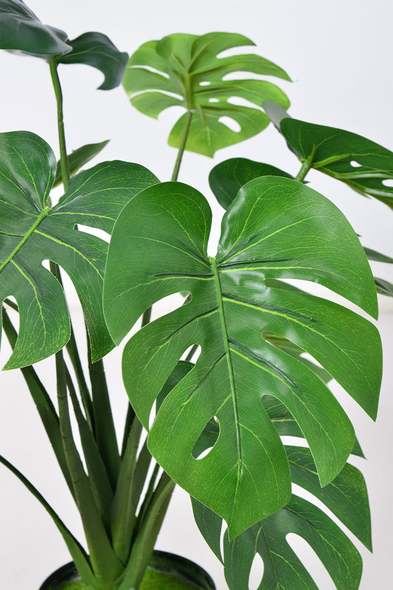 Monstera S: Desktop Artificial Monstera Plant with Lifelike Leaves