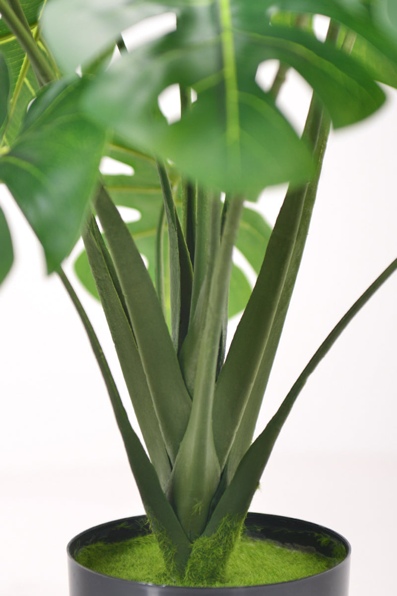 Monstera S: Desktop Artificial Monstera Plant with Lifelike Leaves