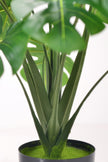 Monstera S: Desktop Artificial Monstera Plant with Lifelike Leaves