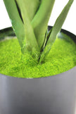 Monstera S: Desktop Artificial Monstera Plant with Lifelike Leaves
