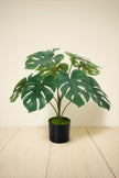 Monstera S: Desktop Artificial Monstera Plant with Lifelike Leaves