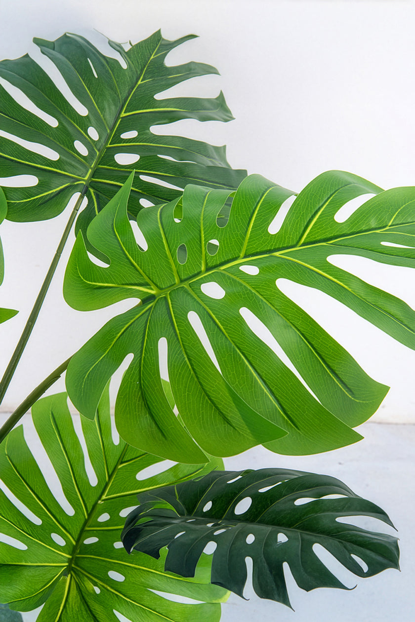Monstera J: Artificial Monstera Deliciosa Plant with White Planter