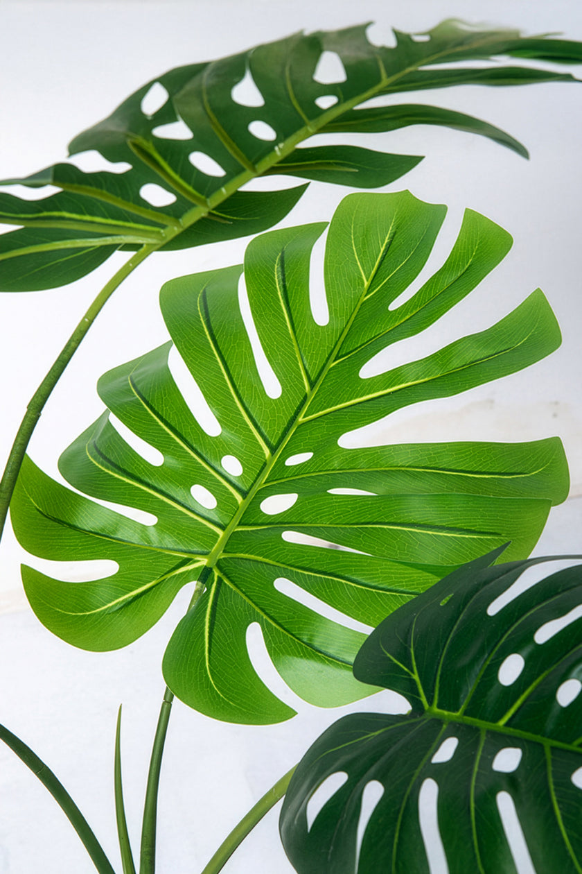 Monstera J: Artificial Monstera Deliciosa Plant with White Planter