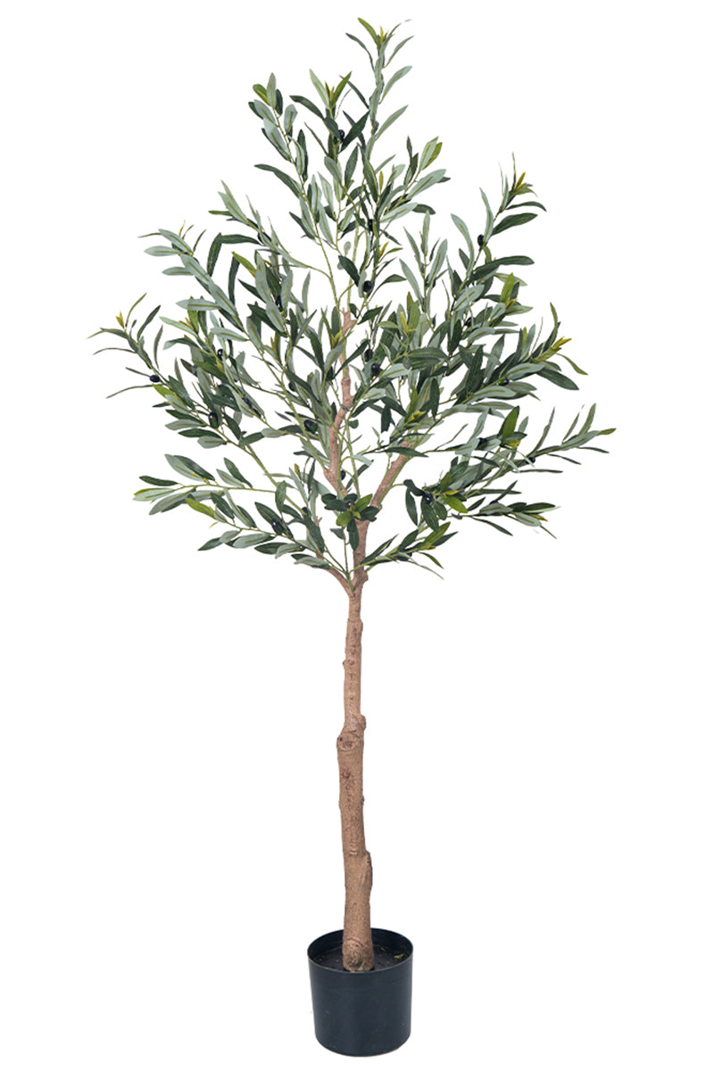 Olive E: Artificial Olive Tree with Silk Broad Leaves and Realistic Olives
