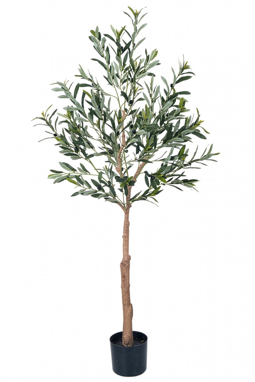 Olive E: Kunstmatige olijfboom met brede zijden bladeren en realistische olijven