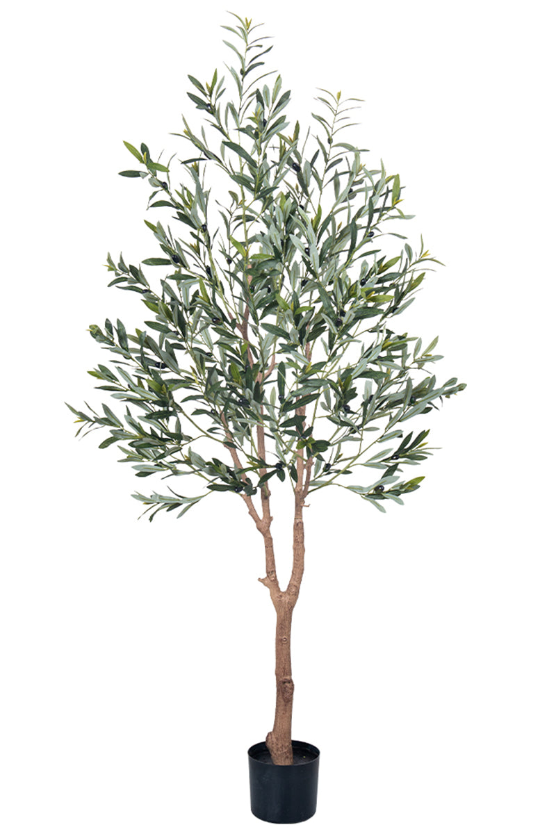 Olive E: Artificial Olive Tree with Silk Broad Leaves and Realistic Olives