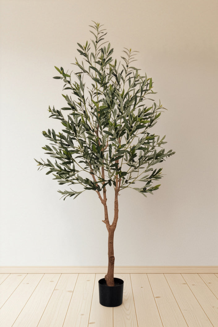 Olive E: Artificial Olive Tree with Silk Broad Leaves and Realistic Olives