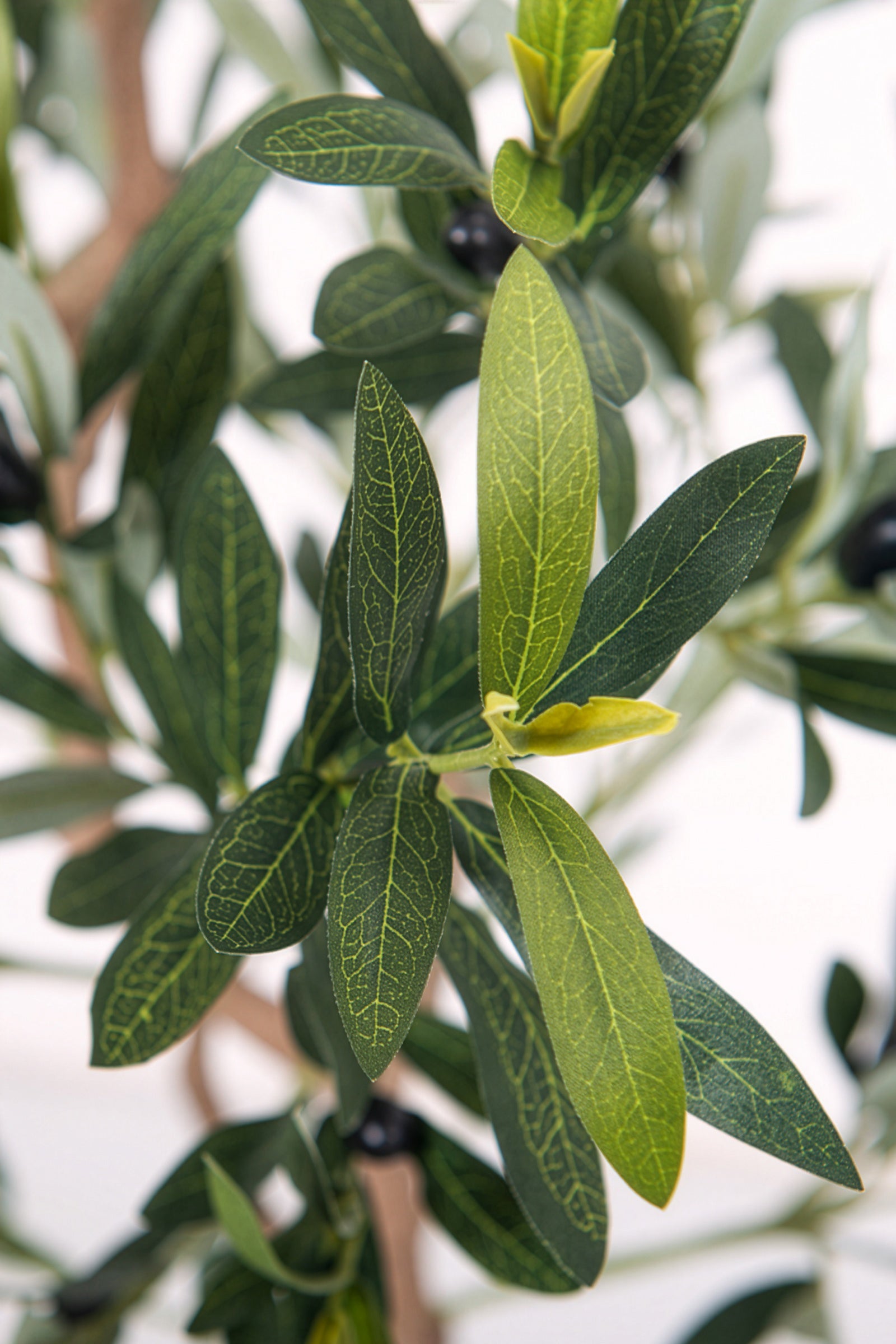 Olive E: Kunstmatige olijfboom met brede zijden bladeren en realistische olijven