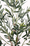 Olive E: Artificial Olive Tree with Silk Broad Leaves and Realistic Olives