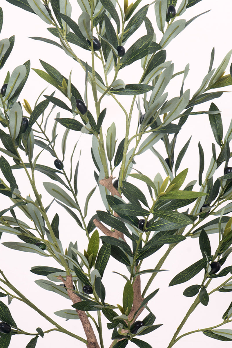 Olive E: Artificial Olive Tree with Silk Broad Leaves and Realistic Olives