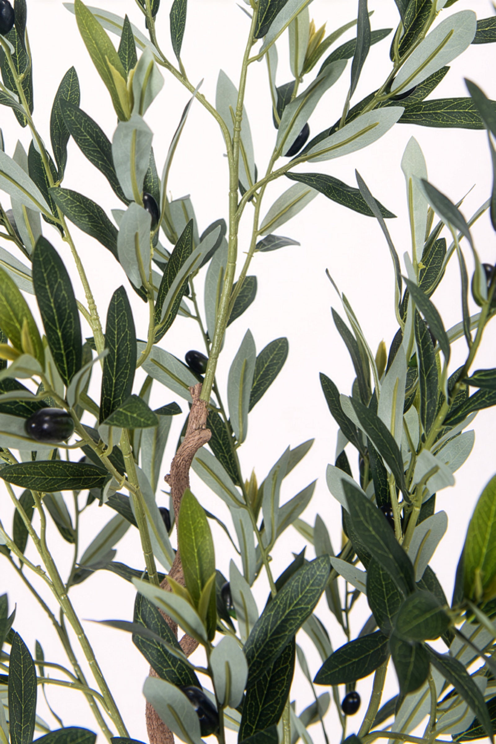 Olive E: Kunstmatige olijfboom met brede zijden bladeren en realistische olijven