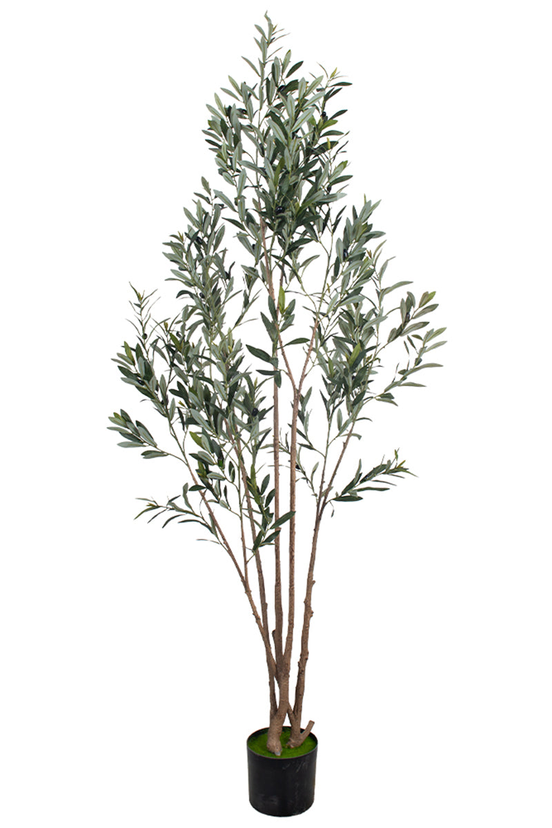 Olive F: Artificial Arbequina Olive Tree with Multiple Branches and Fruits