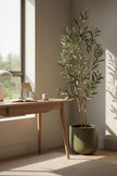 Olive F: Artificial Arbequina Olive Tree with Multiple Branches and Fruits