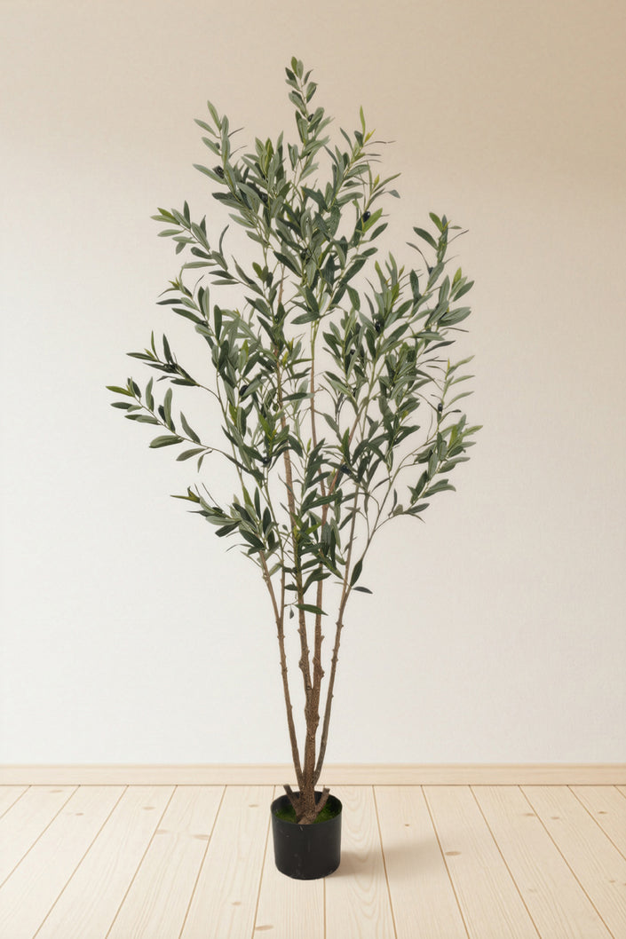 Olive F: Artificial Arbequina Olive Tree with Multiple Branches and Fruits