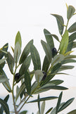 Olive F: Artificial Arbequina Olive Tree with Multiple Branches and Fruits