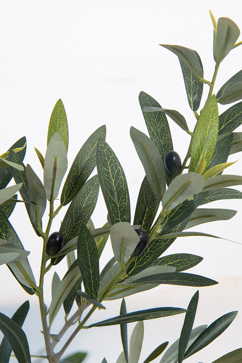 Olive F: Artificial Arbequina Olive Tree with Multiple Branches and Fruits