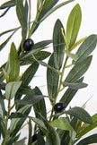 Olive F: Artificial Arbequina Olive Tree with Multiple Branches and Fruits