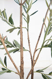 Olive F: Artificial Arbequina Olive Tree with Multiple Branches and Fruits