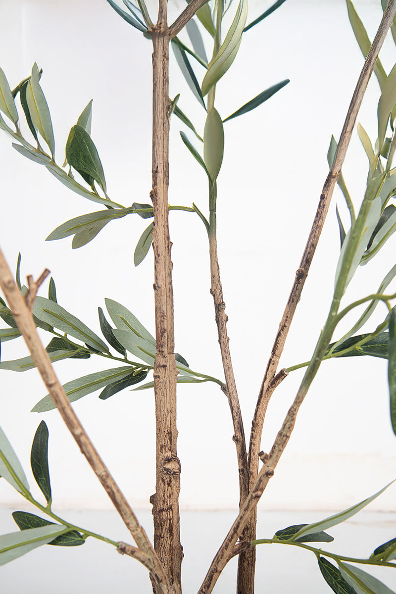 Olive F: Artificial Arbequina Olive Tree with Multiple Branches and Fruits