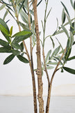 Olive F: Artificial Arbequina Olive Tree with Multiple Branches and Fruits