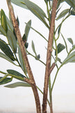 Olive F: Artificial Arbequina Olive Tree with Multiple Branches and Fruits