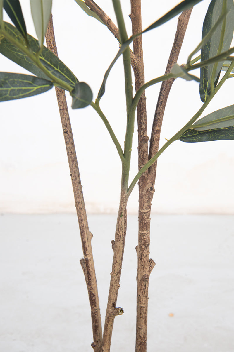 Olive F: Artificial Arbequina Olive Tree with Multiple Branches and Fruits