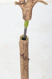 Olive G: Artificial Olive Tree with Decorative Foliage and Colorful Fruits
