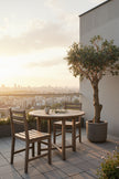 Olive H 2m: Large Artificial Mediterranean Olive Tree with Aged Trunk Texture