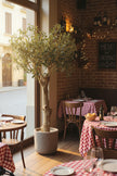 Olive H 2m: Large Artificial Mediterranean Olive Tree with Aged Trunk Texture
