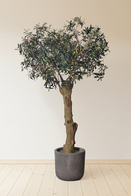 Olive H 2m: Large Artificial Mediterranean Olive Tree with Aged Trunk Texture