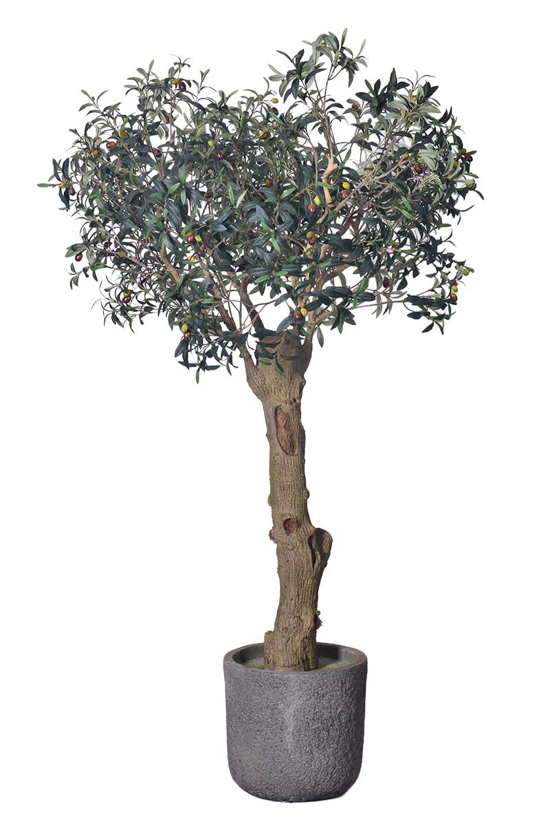 Olive H 2m: Large Artificial Mediterranean Olive Tree with Aged Trunk Texture
