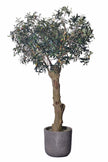 Olive H 2m: Large Artificial Mediterranean Olive Tree with Aged Trunk Texture