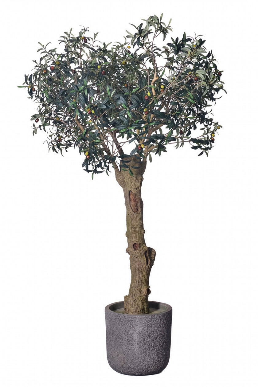 Olive H 2m: Large Artificial Mediterranean Olive Tree with Aged Trunk Texture