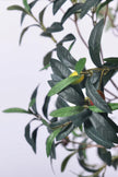 Olive H 2m: Large Artificial Mediterranean Olive Tree with Aged Trunk Texture