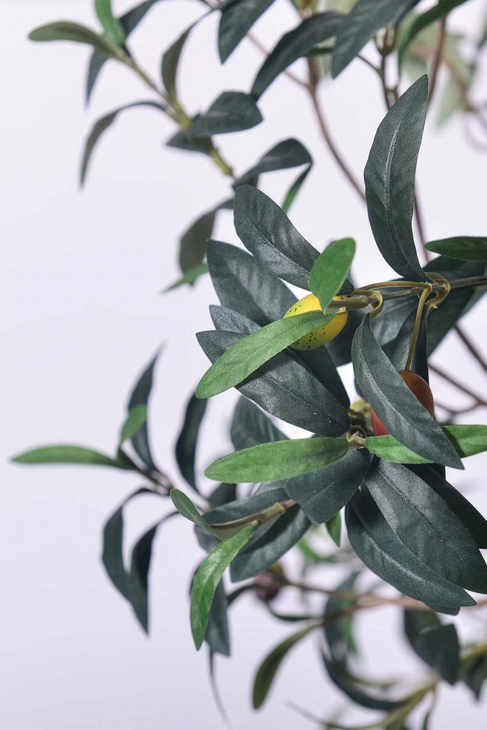Olive H 2m: Large Artificial Mediterranean Olive Tree with Aged Trunk Texture