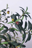 Olive H 2m: Large Artificial Mediterranean Olive Tree with Aged Trunk Texture