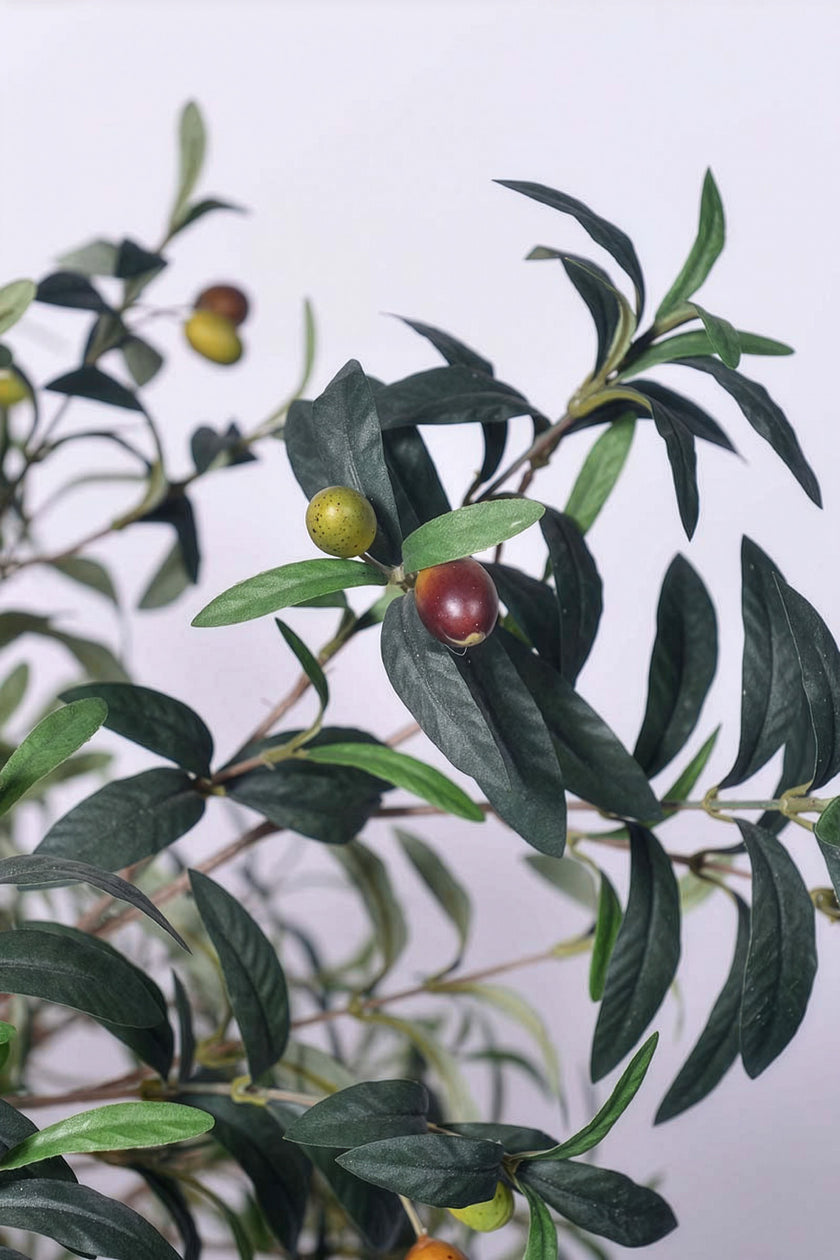 Olive H 2m: Large Artificial Mediterranean Olive Tree with Aged Trunk Texture