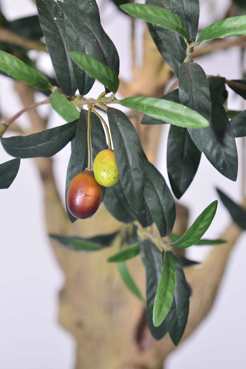 Olive H 2m: Large Artificial Mediterranean Olive Tree with Aged Trunk Texture
