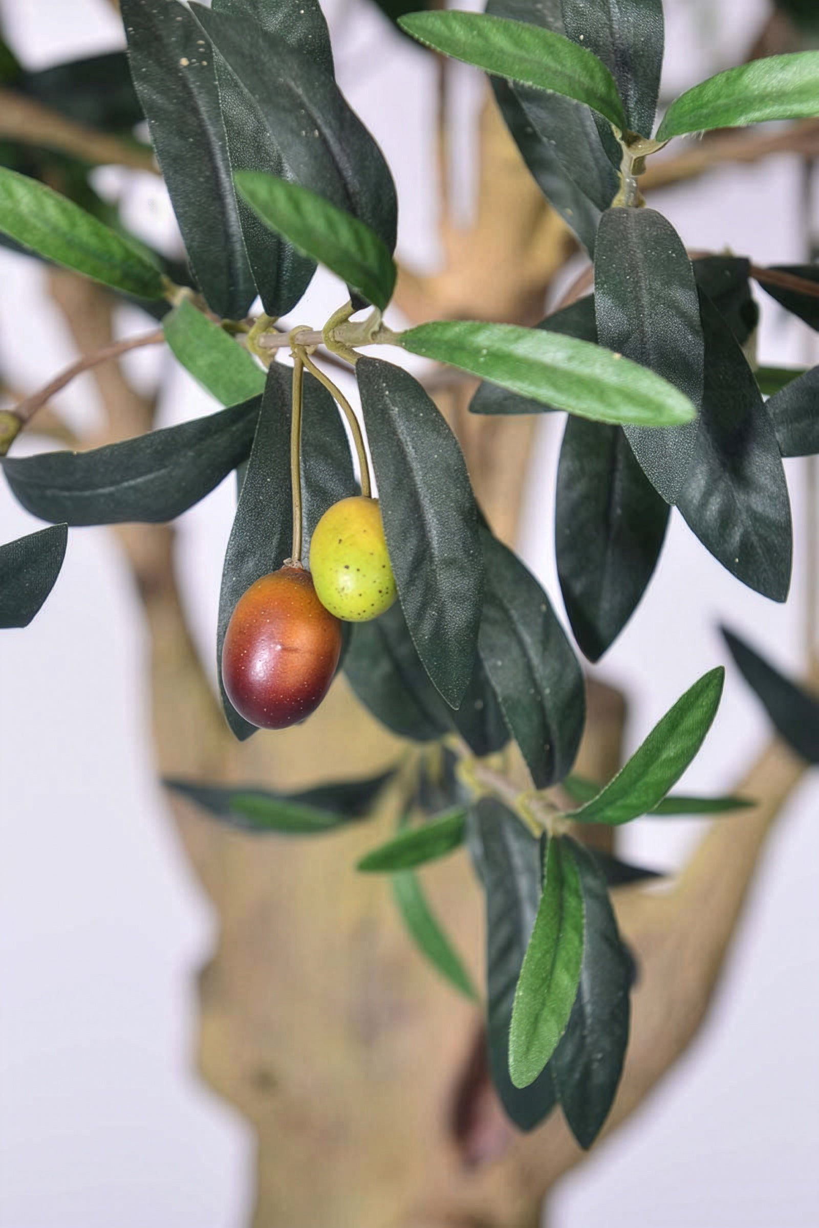 Olive H 2m: Large Artificial Mediterranean Olive Tree with Aged Trunk Texture